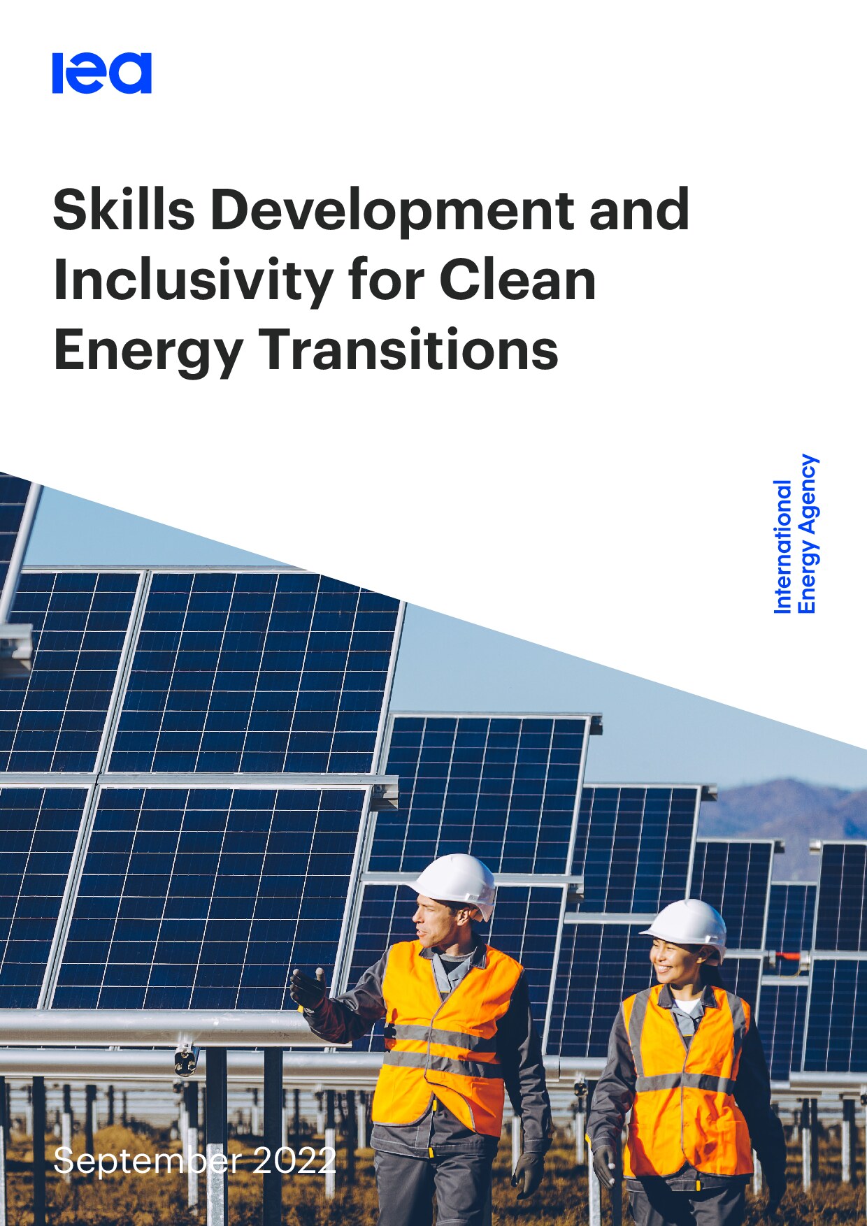 Skills development and inclusivity for clean energy transitions