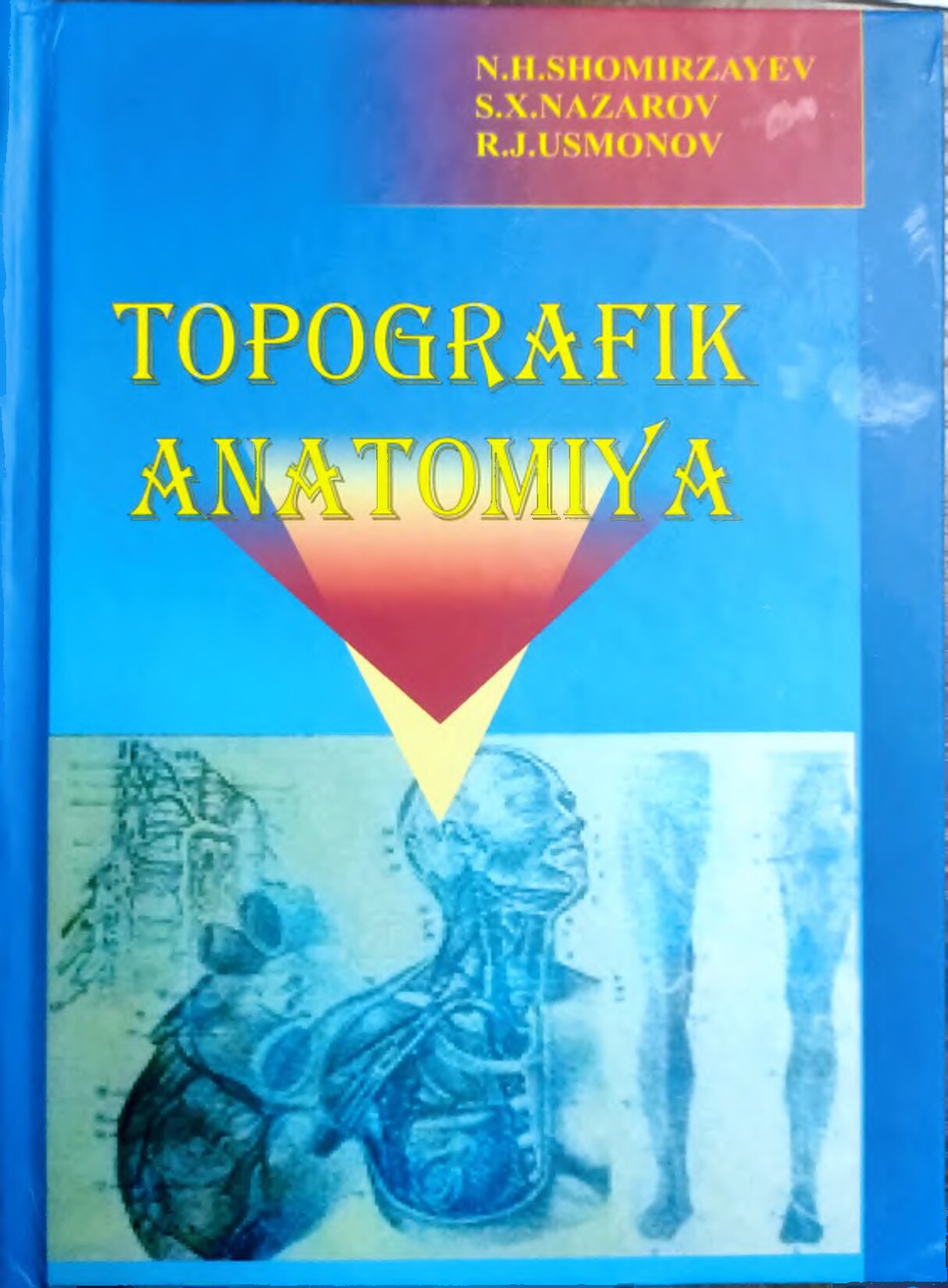 Topografik anatomiya