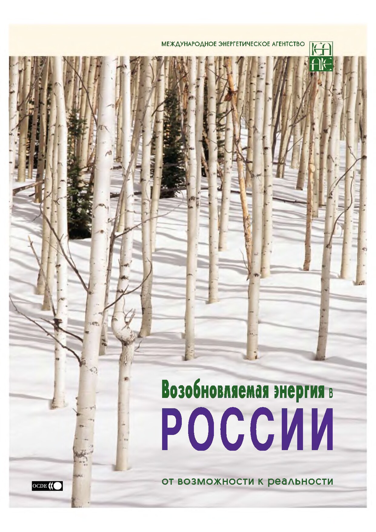 Ð™Ð¾Ð·Ð¾Ð±Ð½Ð¾Ð²Ð»Ñ‘ÐµÐ¼Ð°Ñ‘ Ñ“Ð½ÐµÑ•Ð³Ð¸Ñ‘ Ð² Ð€Ð¾Ñ†Ñ†Ð¸Ð¸. ÐŁÐ»ÐµÐ½Ð° ÐflÑ…Ñ•Ð°ÐµÐ²Ð° (ÐœÐ�Ð’, 2004).djvu