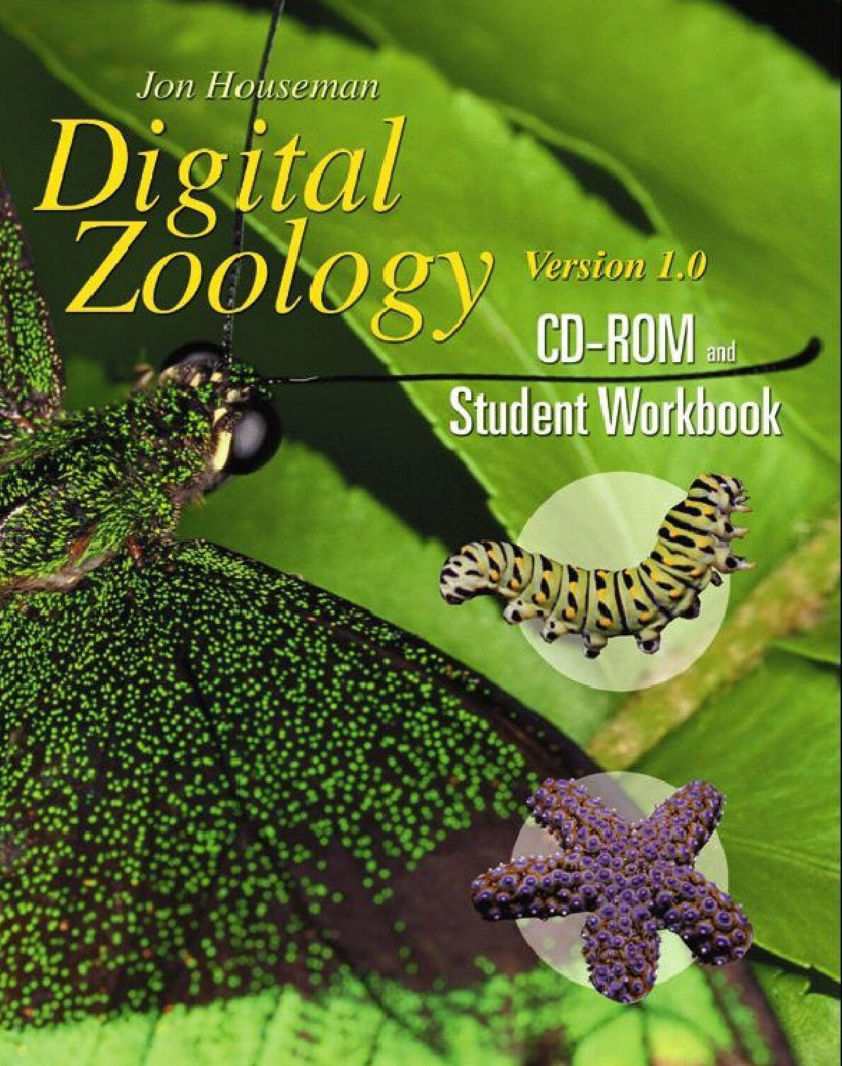 DZ2001workbook.book