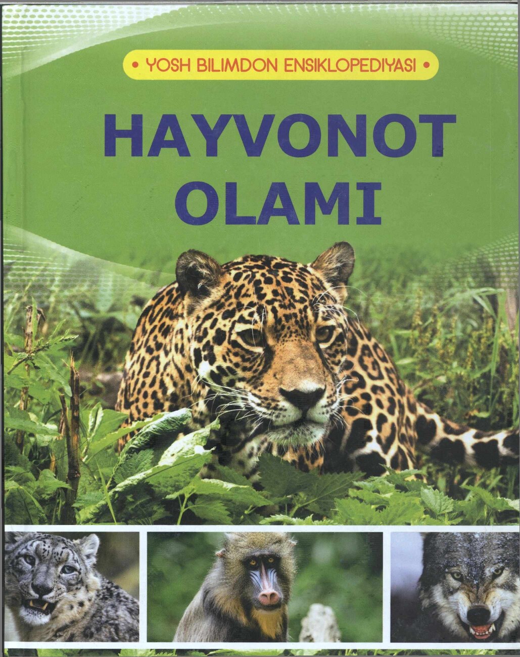 Hayvonot olami