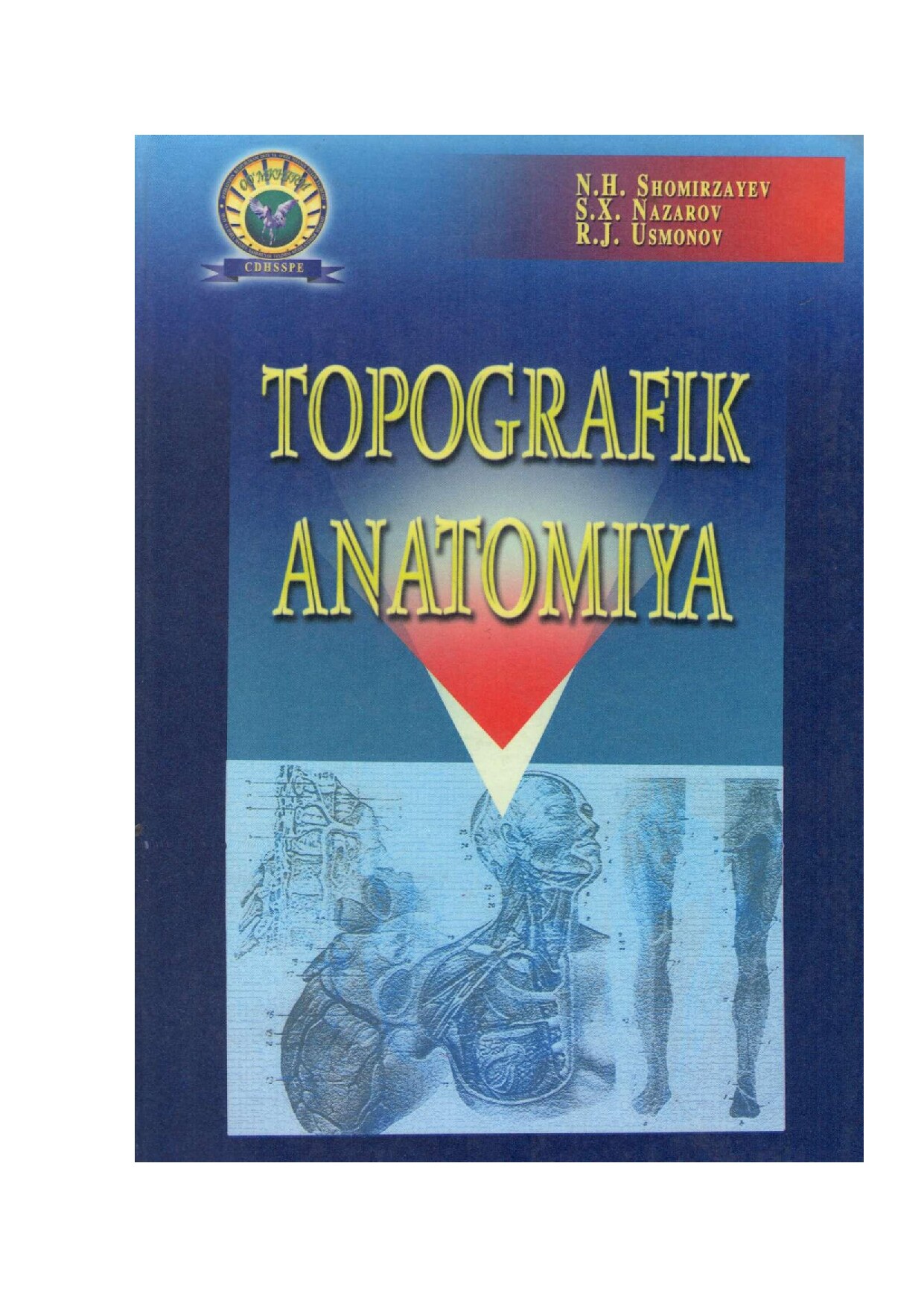 Topografik anatomiya