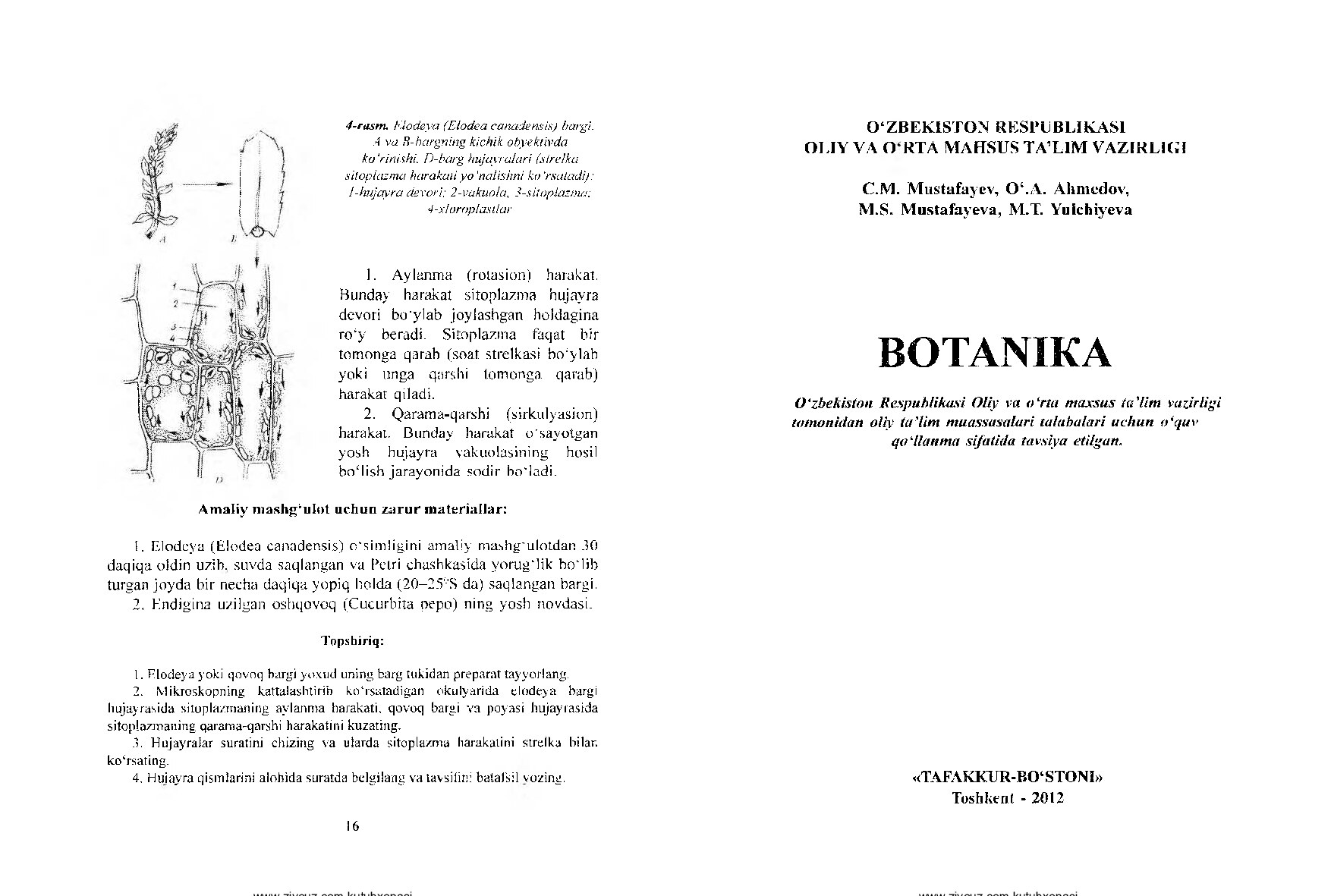 Botanika