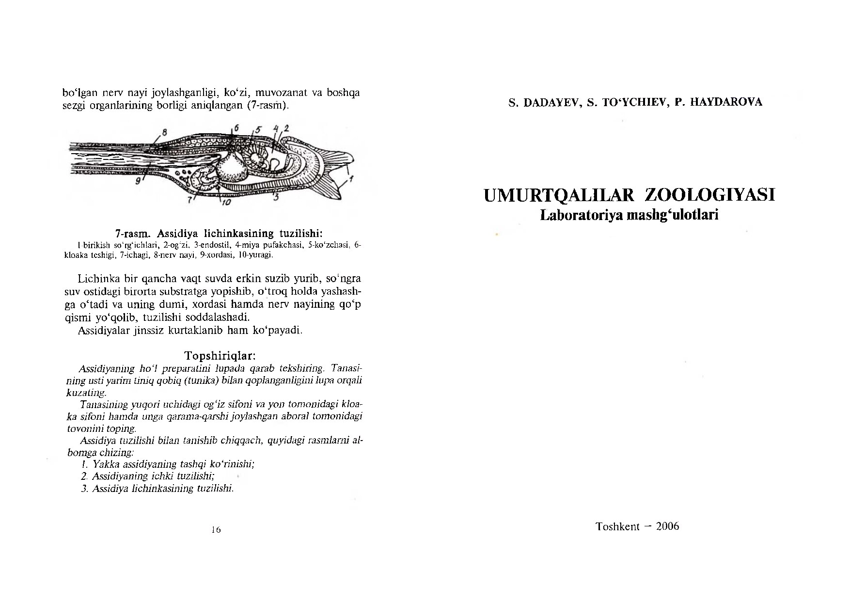 Umurtqalilar zoologiyasi