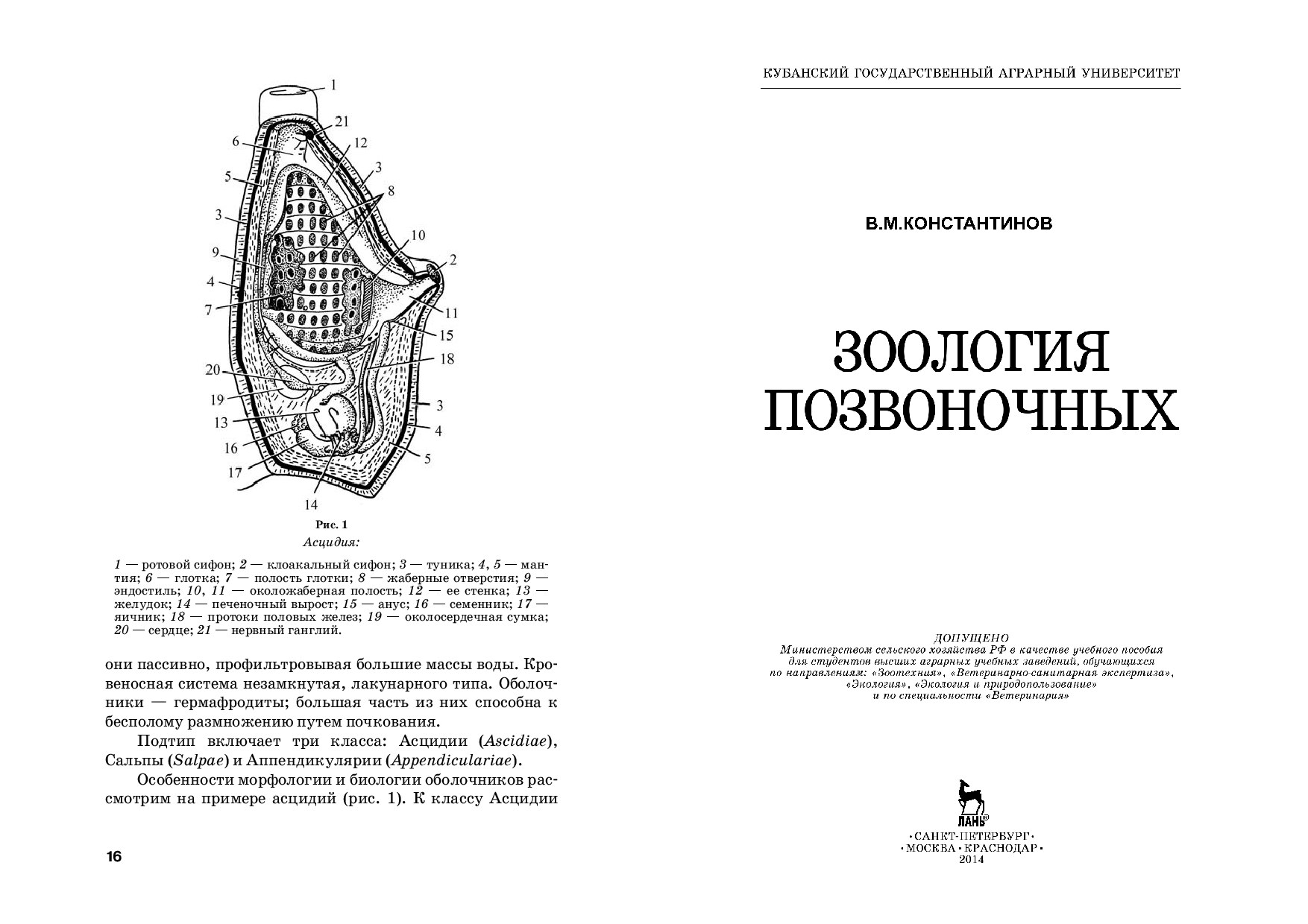 Зоология позвоночных