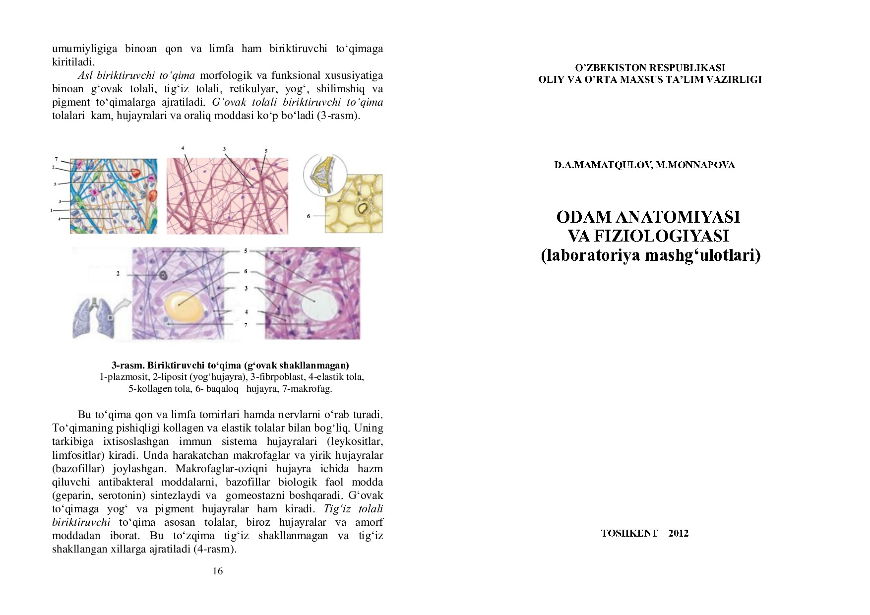 odam anatomiyasi va fiziologiyasi ПЕЧАТЬ