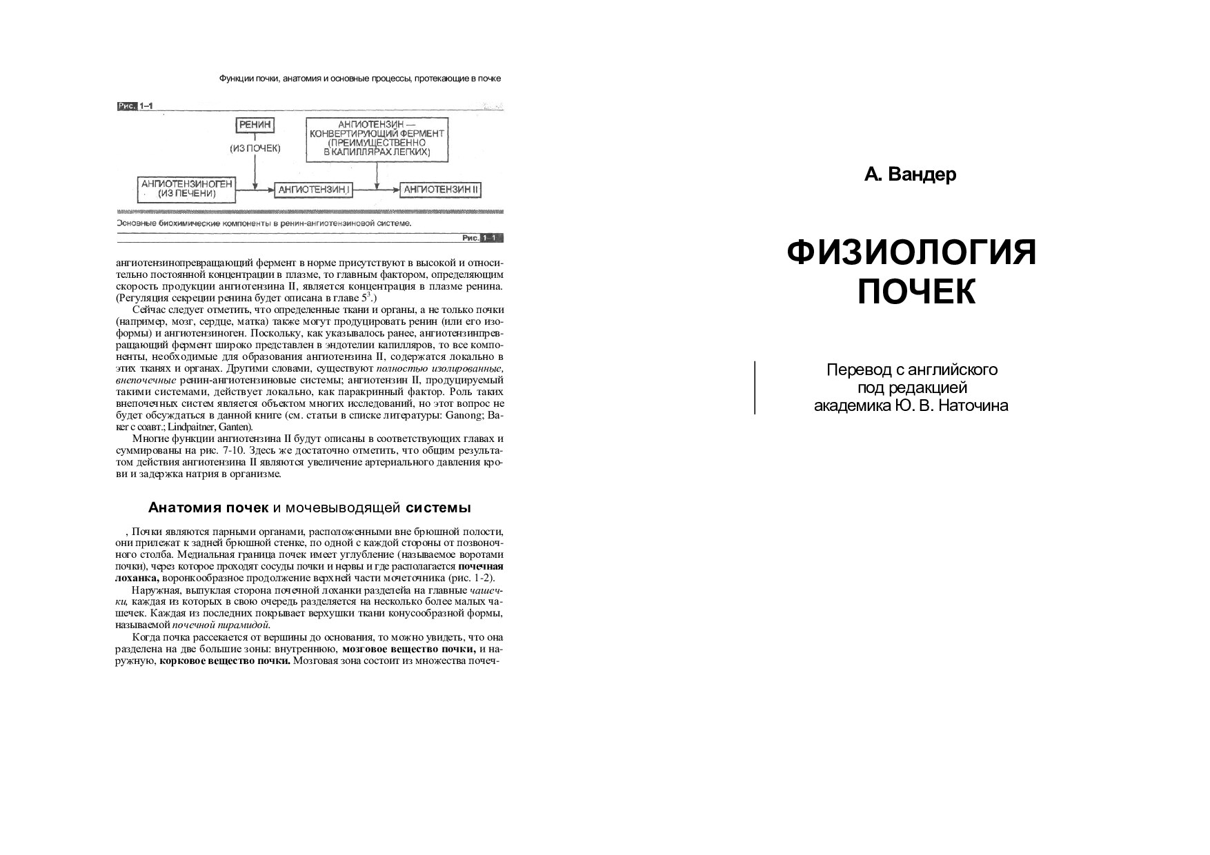 ФИЗИОЛОГИЯ ПОЧЕК ПЕЧАТЬ
