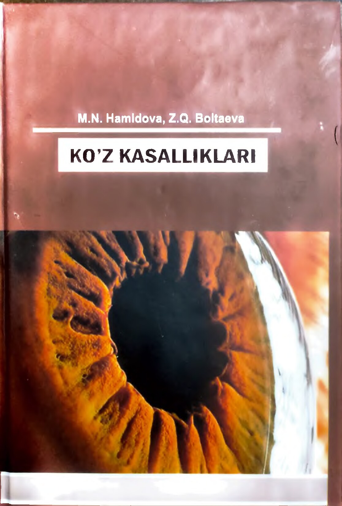 Ko’z kasalliklari, Darslik - Hamidova M.H_