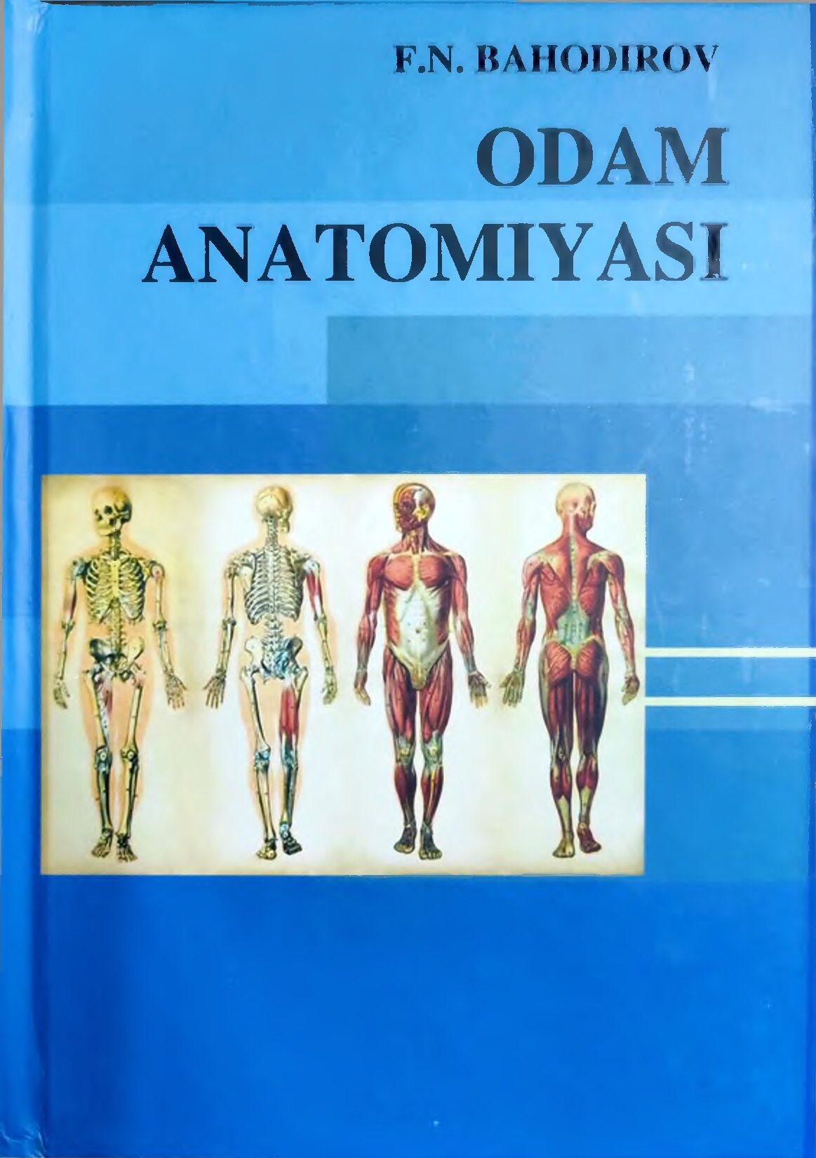 Odam anatomiyasi. Baxodirov.F .N - Неизвестно
