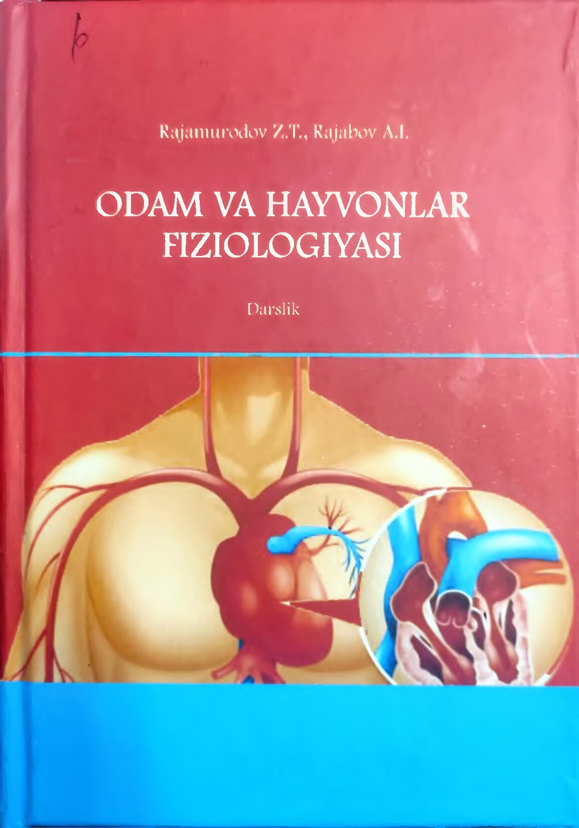 Odam va hayvonlar fiziologiyasi. Rajamurodov Z T