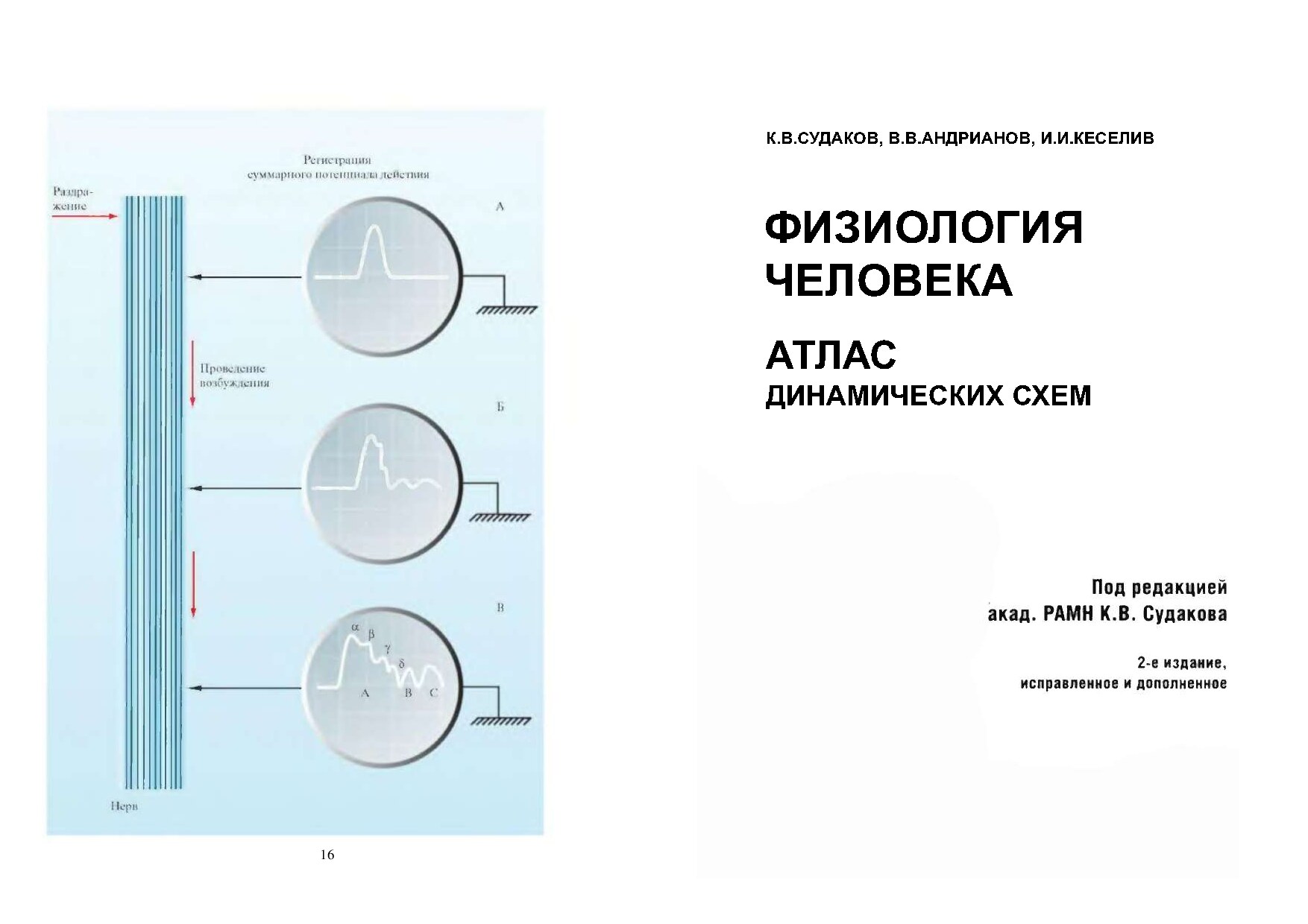 Физиология_человека