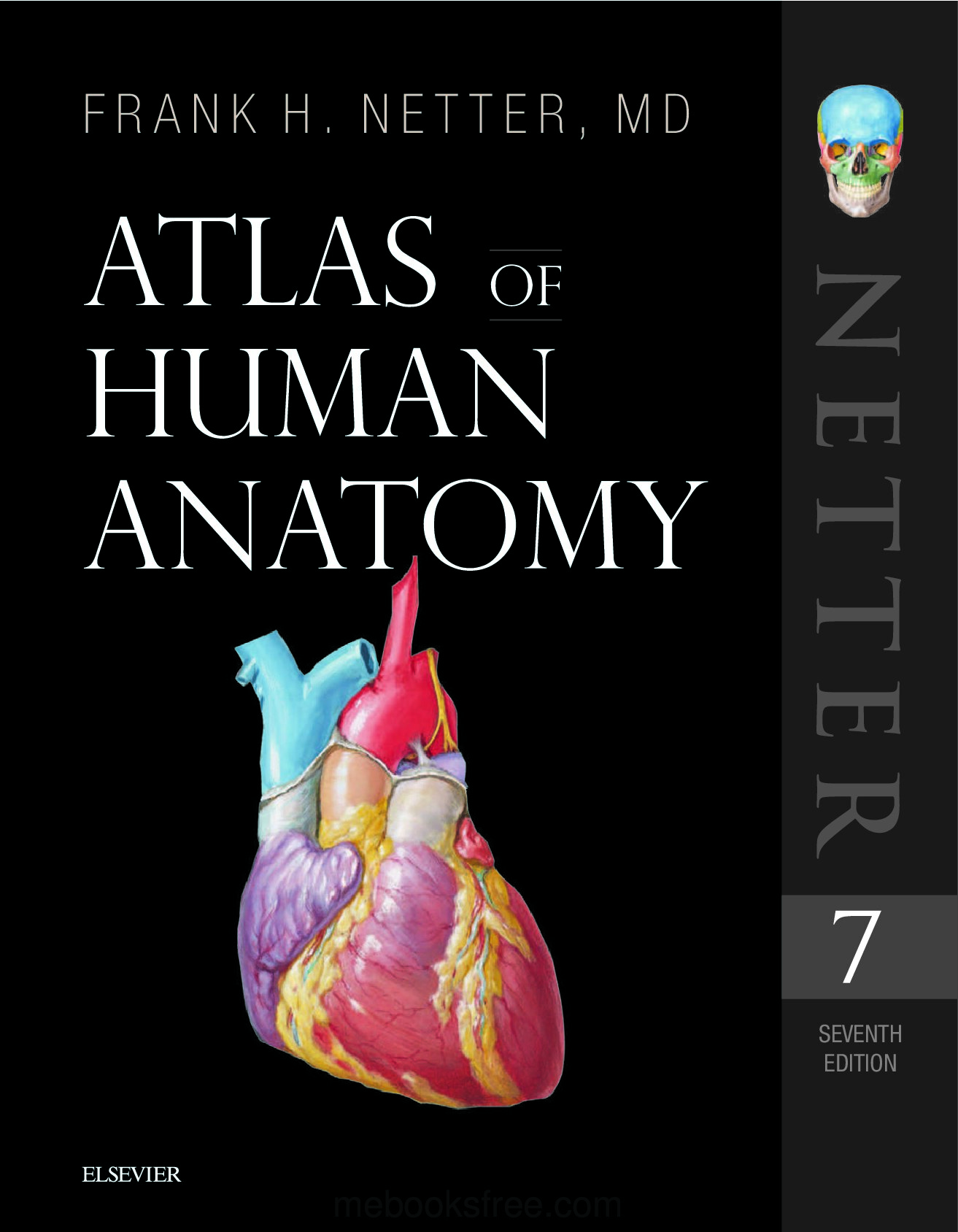 Atlas human anatomy