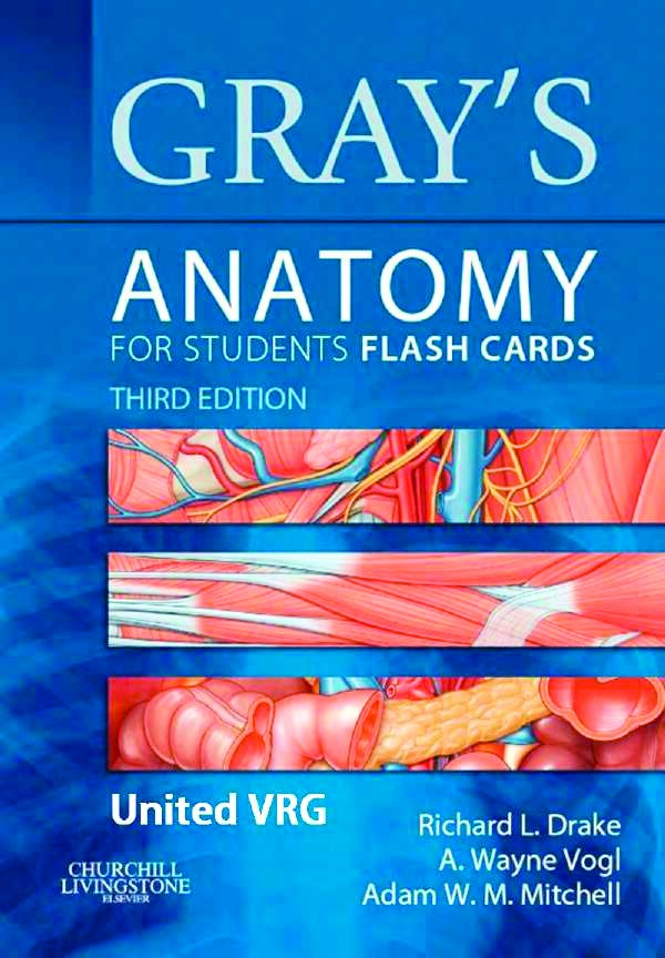 Gray's Anatomy for Students Flash Cards: with STUDENT CONSULT