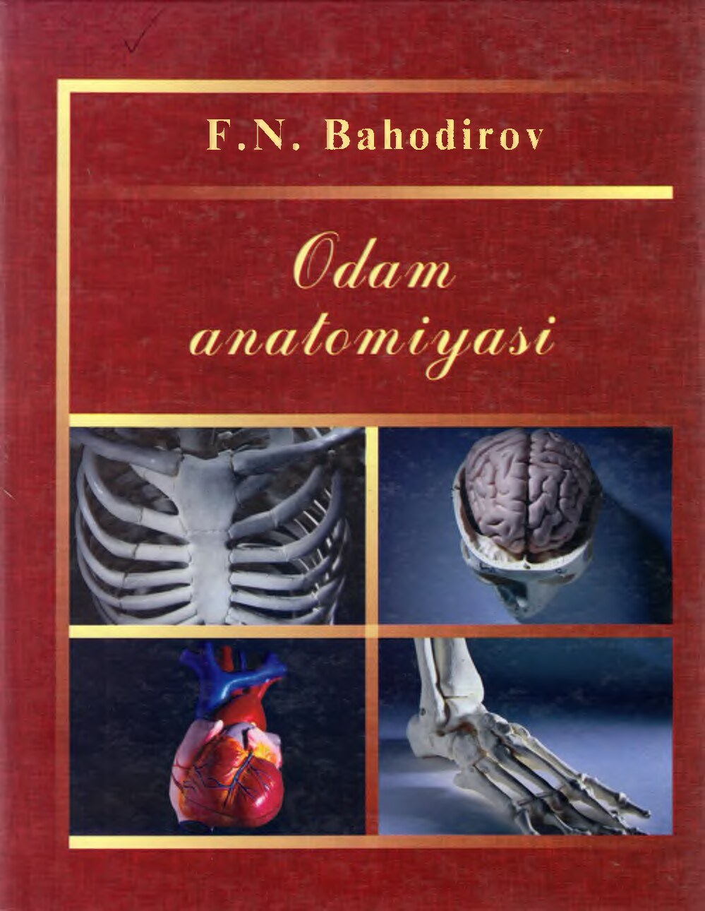 Odam anatomiyasi. Baxodirov.F .N