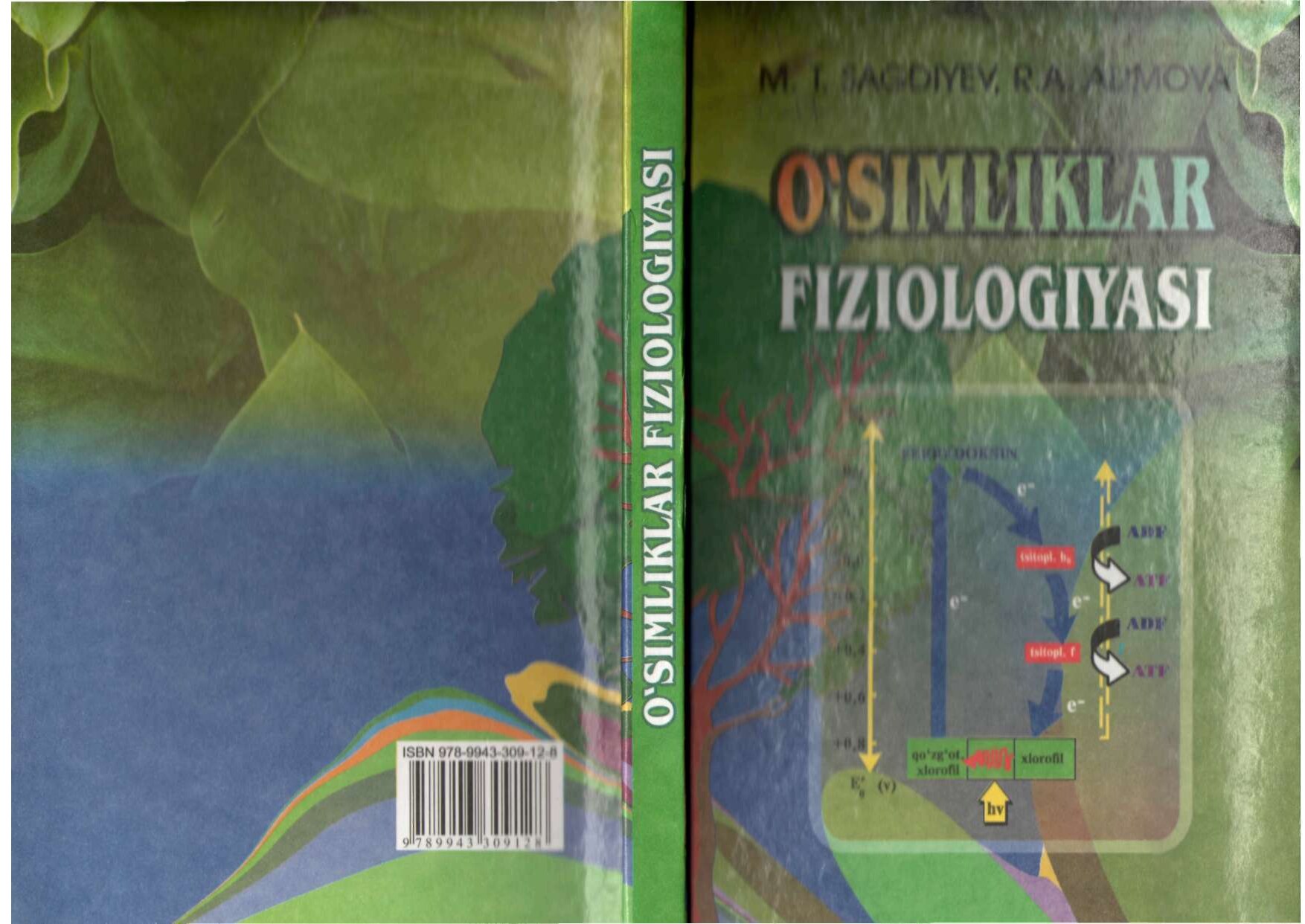 Sagdiyev  M. T. Alimova R.A. O`simliklar fiziologiyasi. uquv qullanma. T. 2007